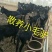 五香驴肉新鲜屠宰熟驴肉真空包