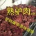 五香驴肉生熟驴肉保鲜真空包装