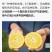 汉源石棉黄果柑批发商直供专业代办团队一条龙服务