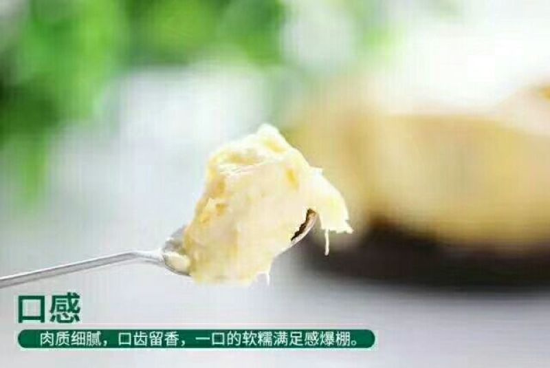 泰国榴莲10斤以上