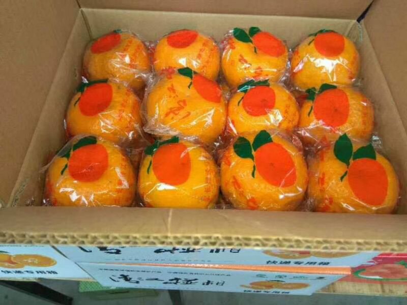 椪柑产地批发，诚信代办质量保证欢迎咨询订购