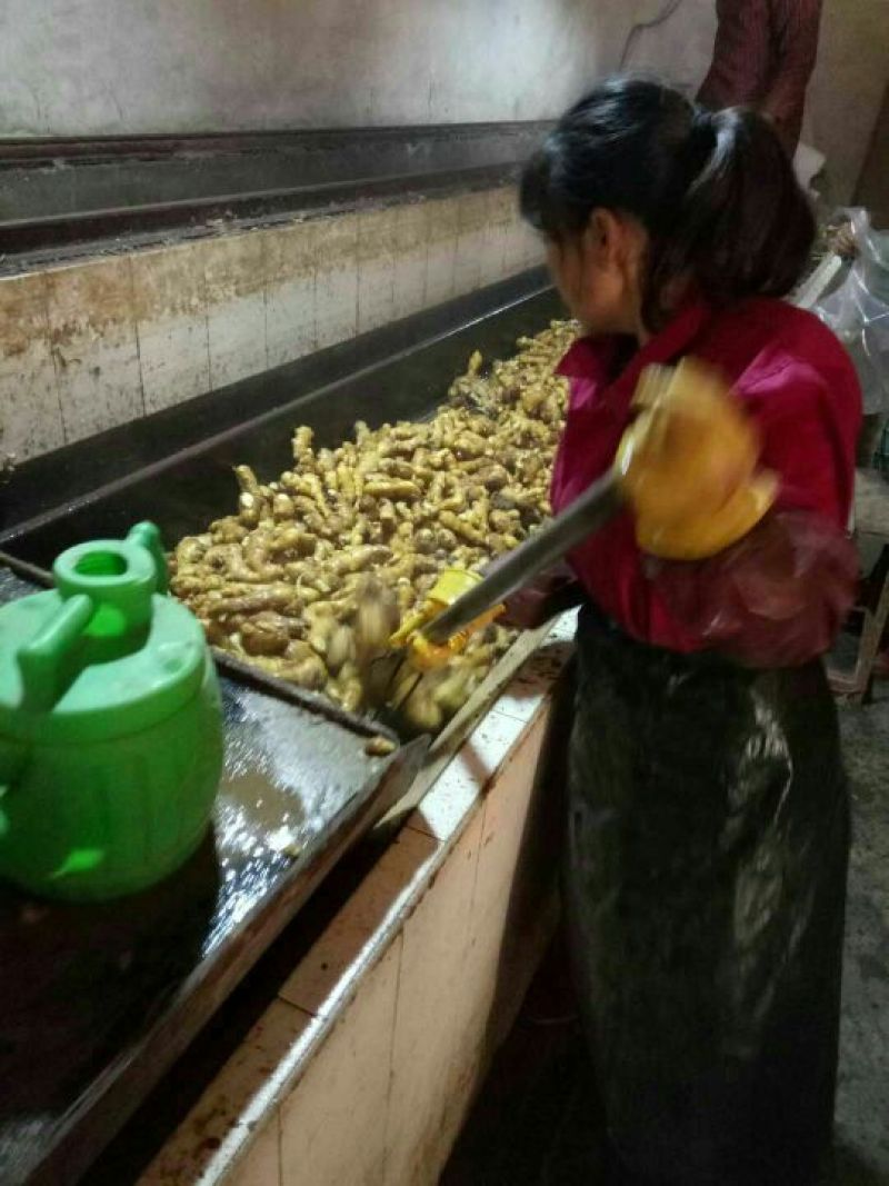 小黄姜，常年供应，货源充足，质量保证，随到随装