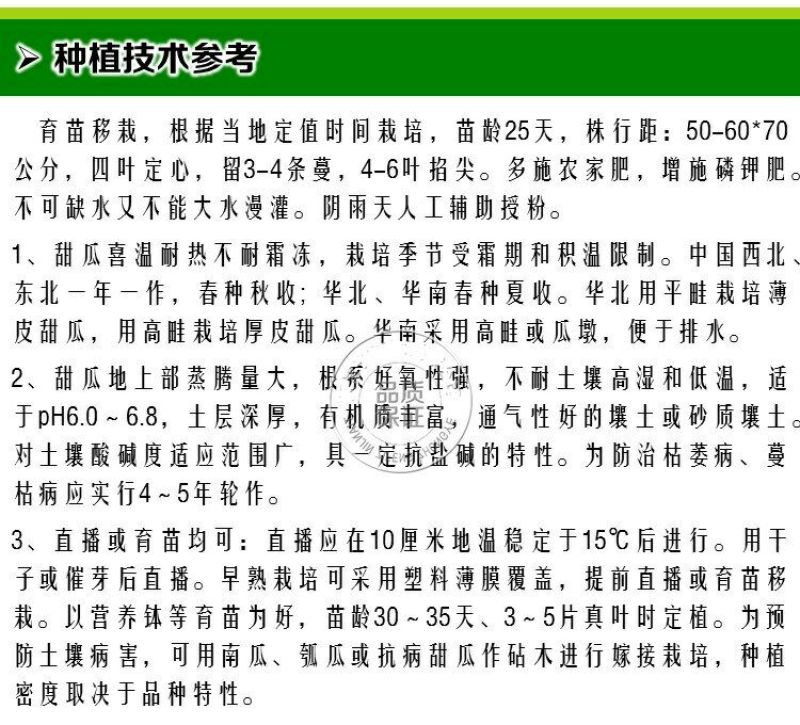 甜瓜种子650粒包邮