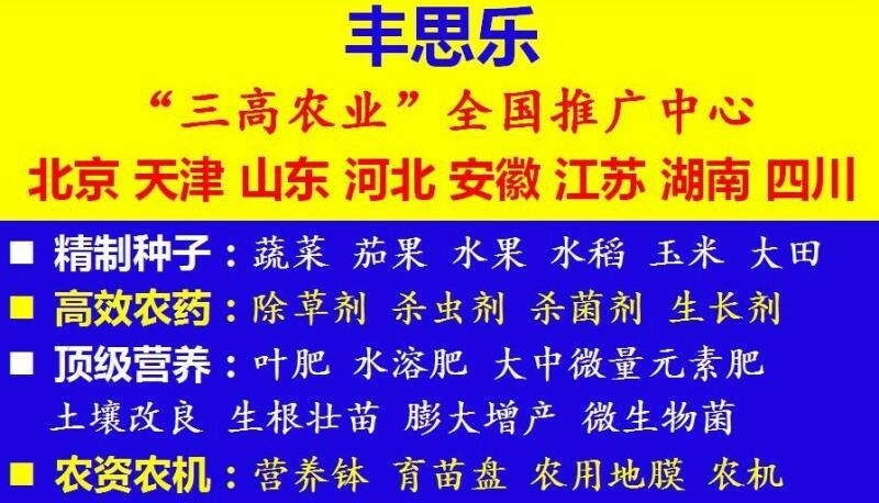 甜瓜种子景甜绿脆