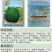 甜瓜种子景甜绿脆
