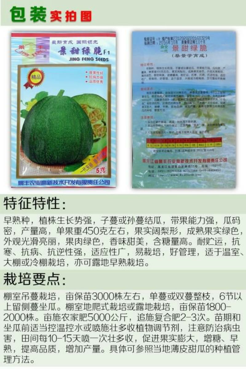 甜瓜种子景甜绿脆