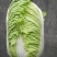 黄心大白菜，加工厂白菜，脱水白菜，蔬菜直销，精品包装