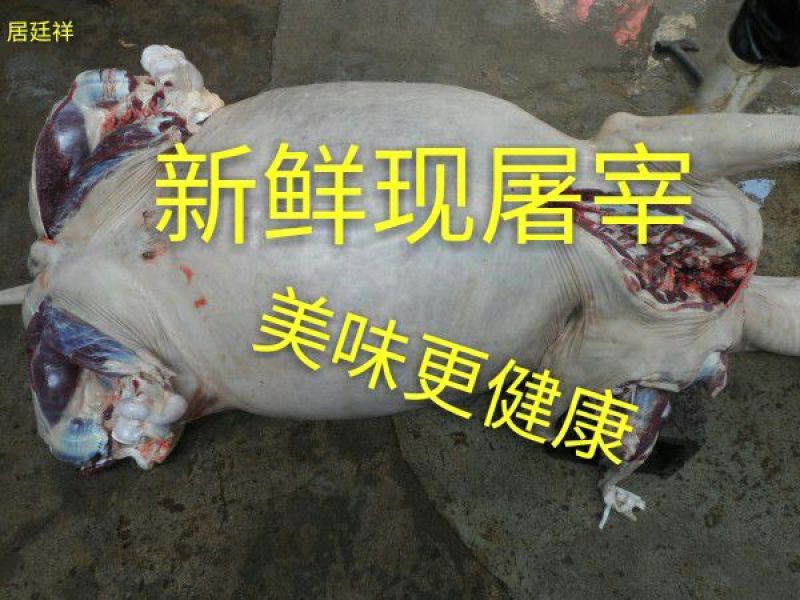 驴肉新鲜带皮驴肉6分体