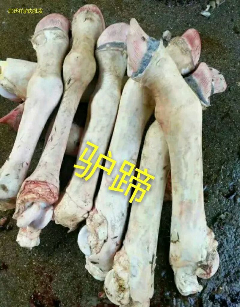 驴肉新鲜带皮驴肉6分体