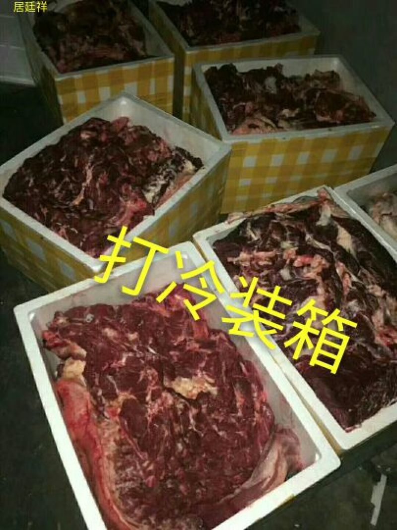 驴肉新鲜带皮驴肉6分体