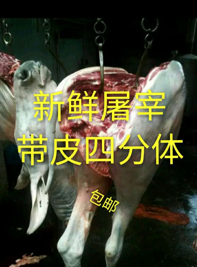 驴肉新鲜驴肉整头白条