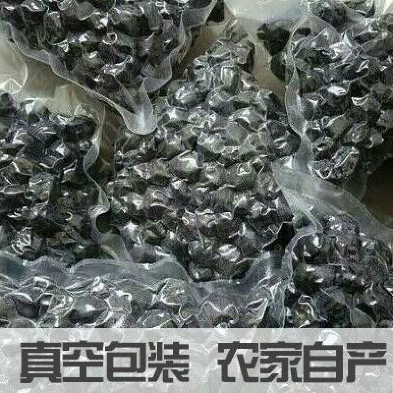 河北省邯郸市涉县黑枣无核黑枣软枣君迁子野柿子小软枣大乌枣