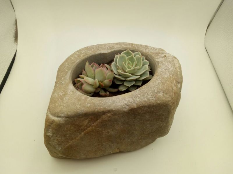 花盆石头花盆