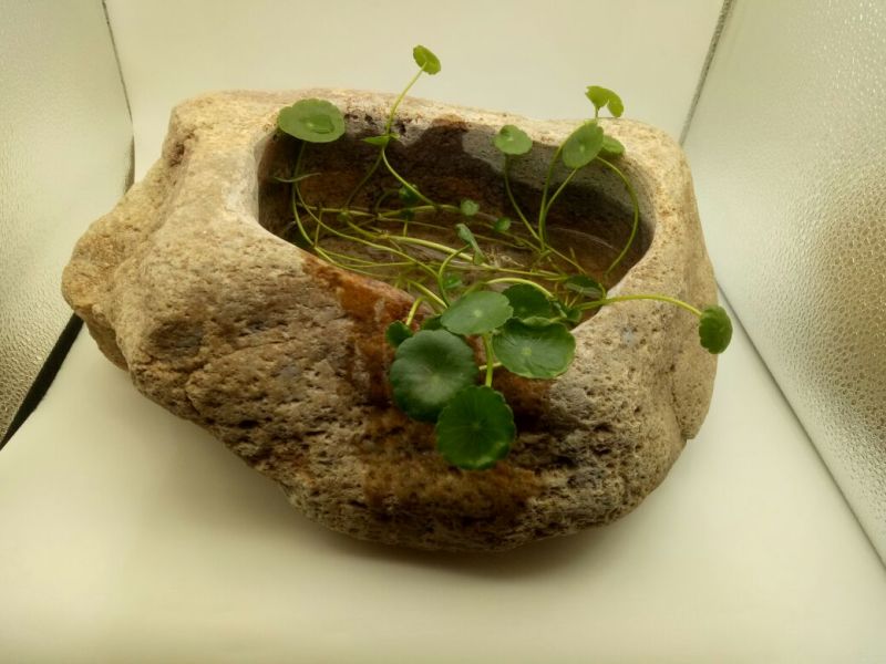 花盆石头花盆