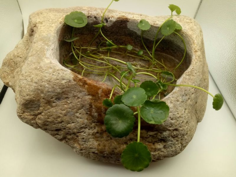 花盆石头花盆