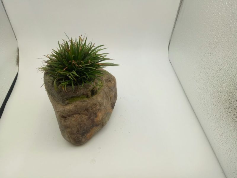 花盆石头花盆