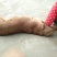 金毛犬公