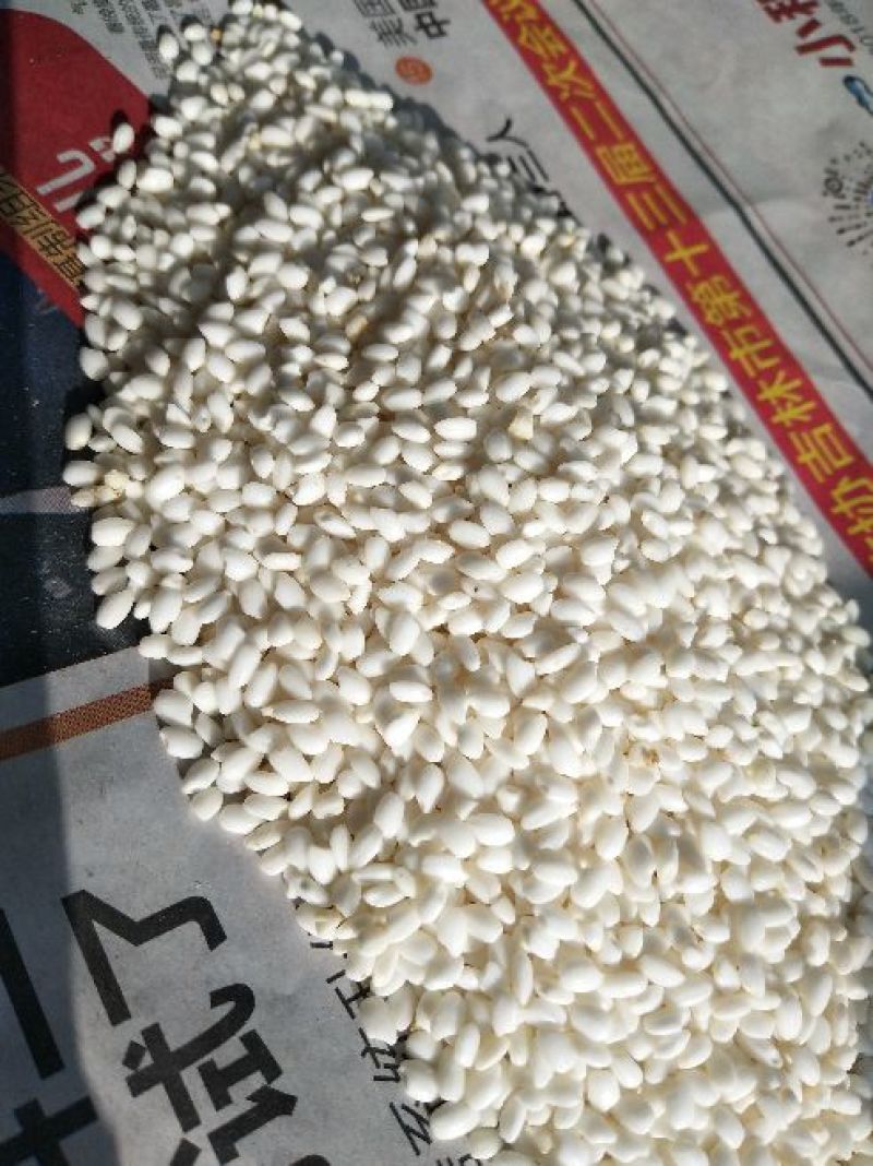 米糠