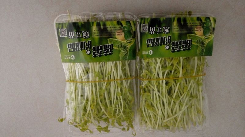 松柳芽苗菜包装