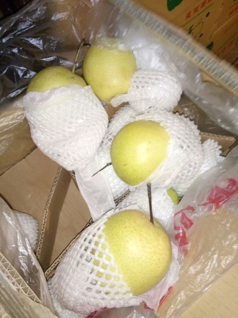 雪梨450~500g纸箱