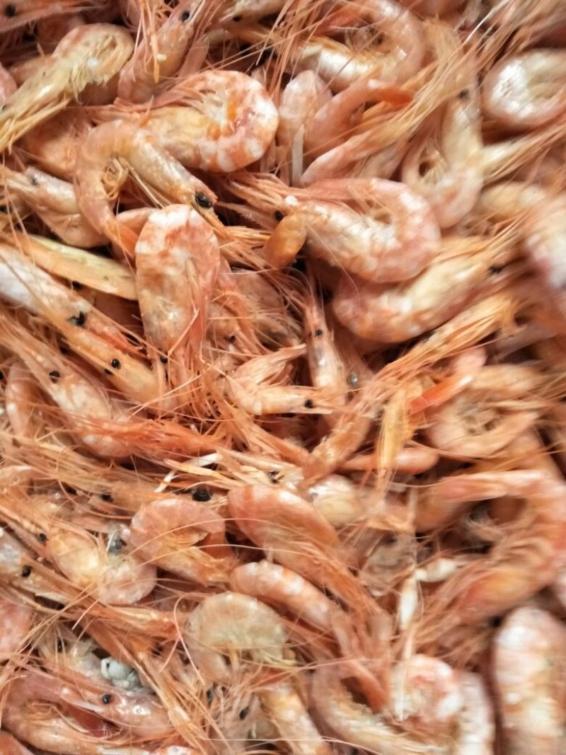 长年批发冬种海产品干货，一手货源。