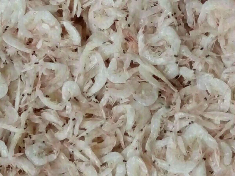 长年批发冬种海产品干货，一手货源。