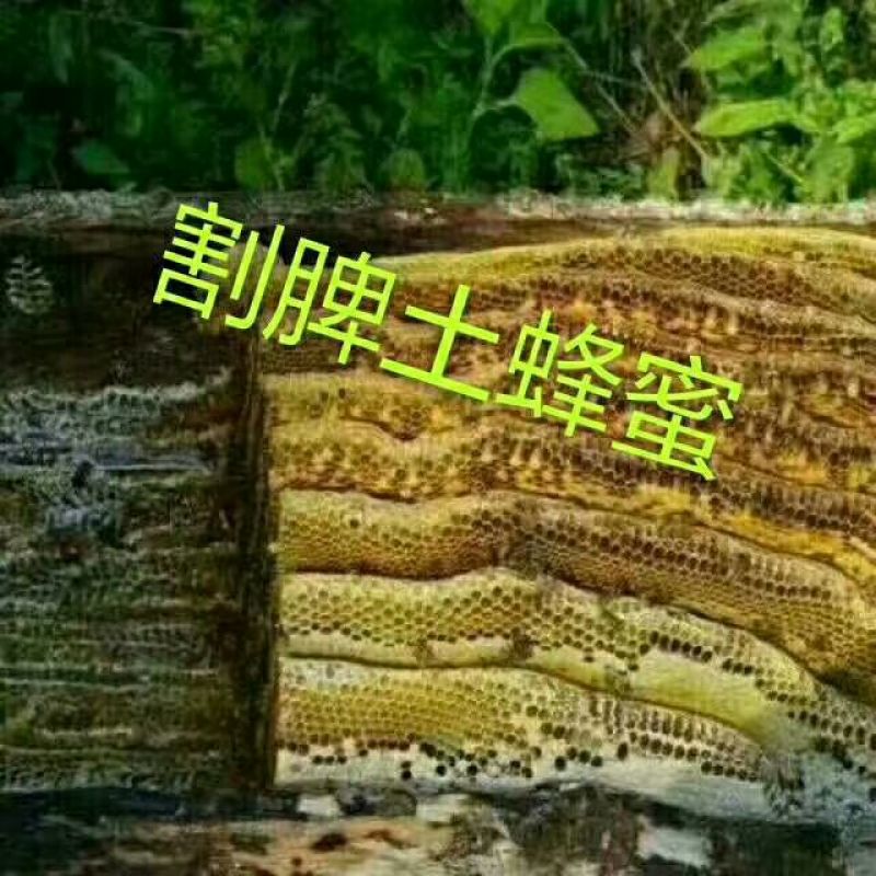 土蜂蜜2斤