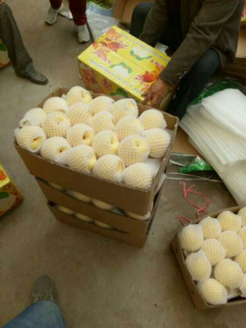 酥梨纸袋350~400g