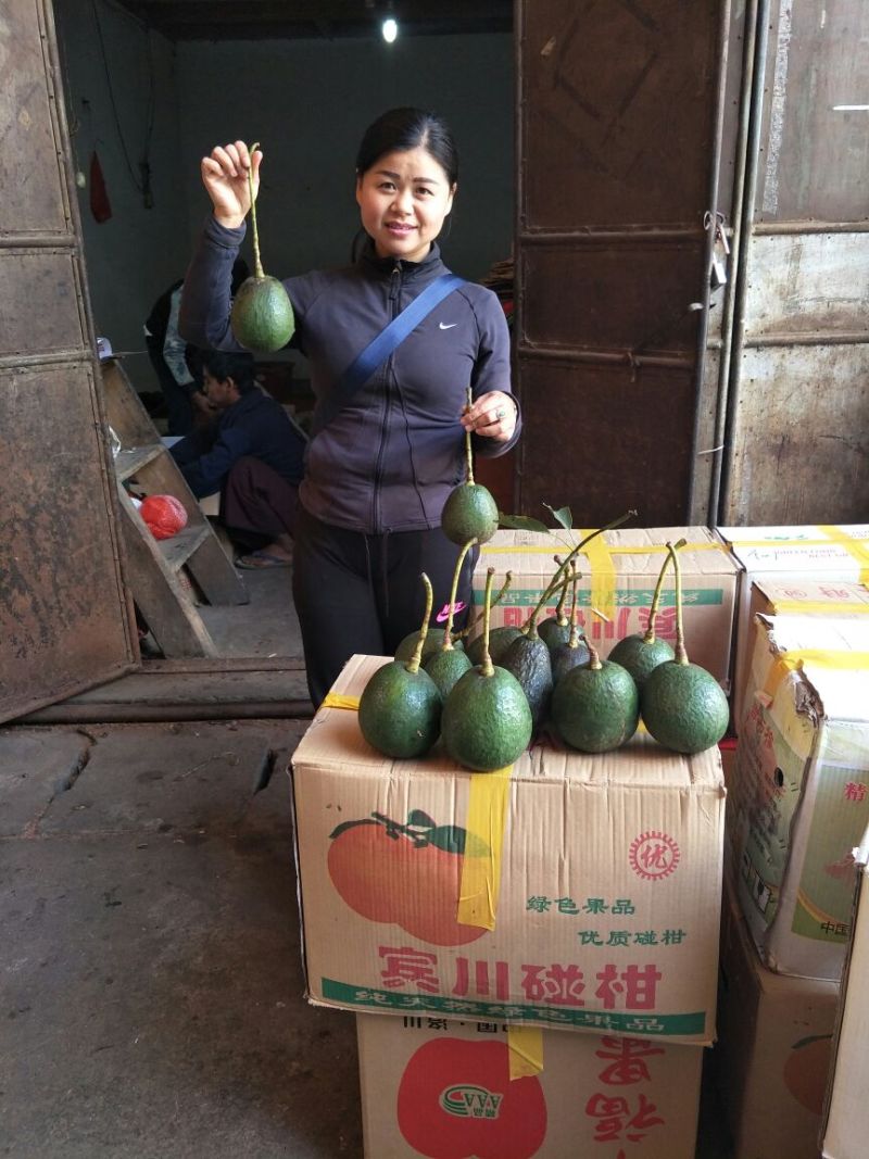 牛油果200克以上精品