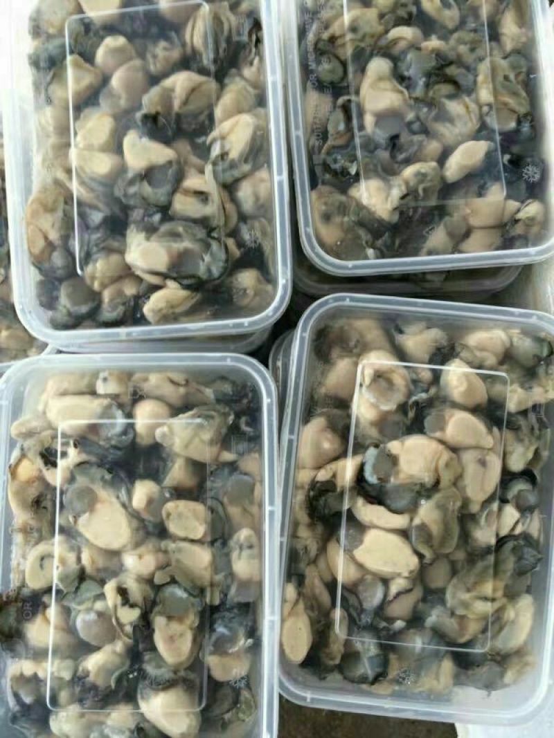 福建生蚝产地供应全壳，半壳生蚝