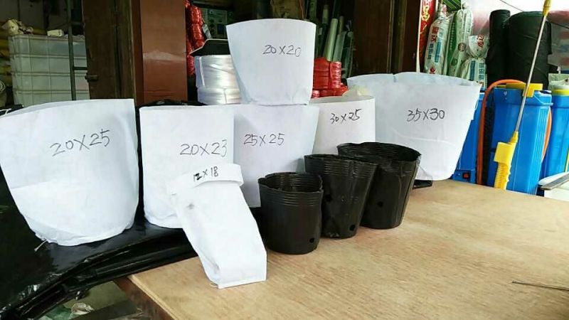 营养钵木苗营养杯美植袋