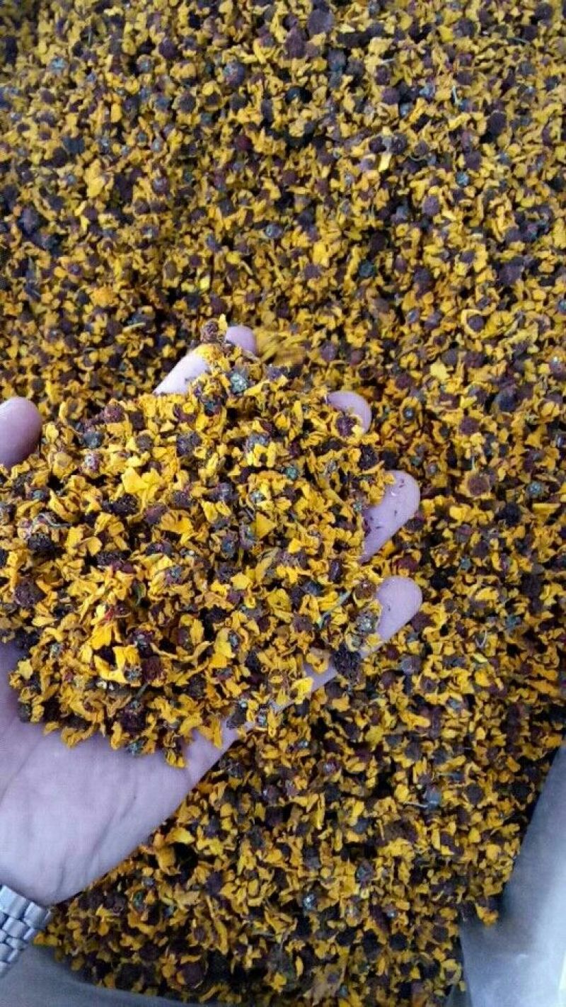 雪菊新疆1公斤起批无硫无添加不包邮泡茶正品