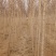 复叶槭1.5~2m