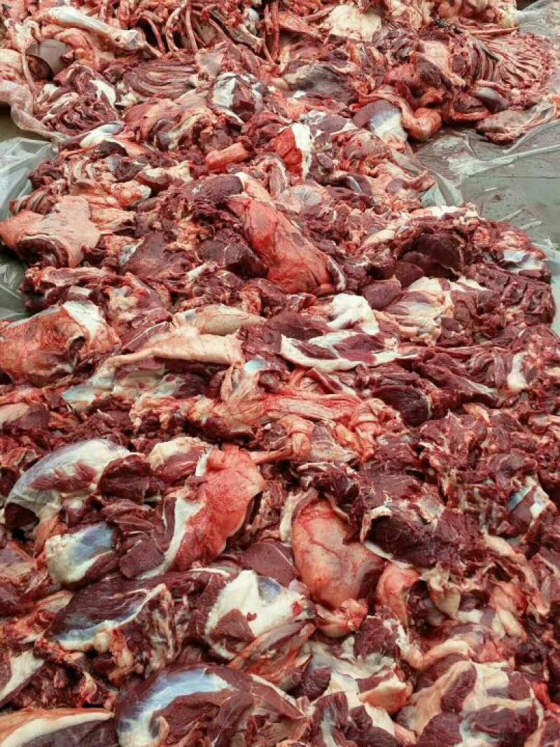 驴肉鲜货