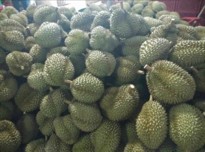 干荛榴莲