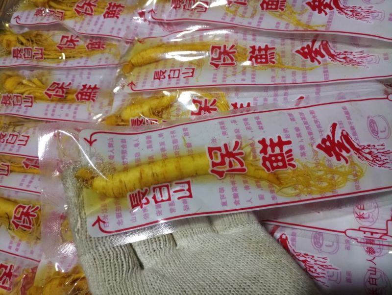 【荐】长白山保鲜参新鲜泡酒人参一件10枝装批发包邮