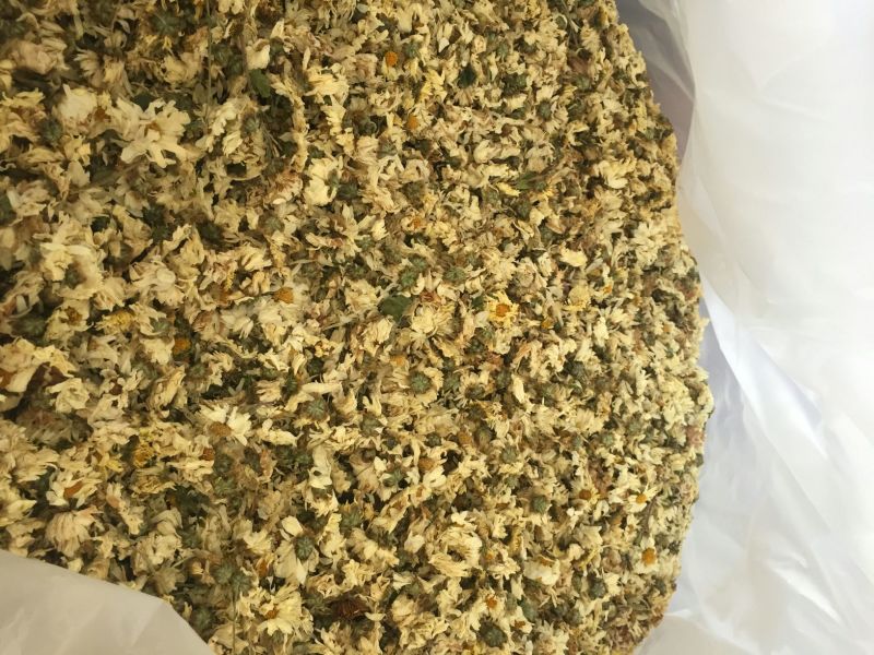 药用菊花散装