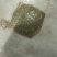 多宝鱼食用活鱼