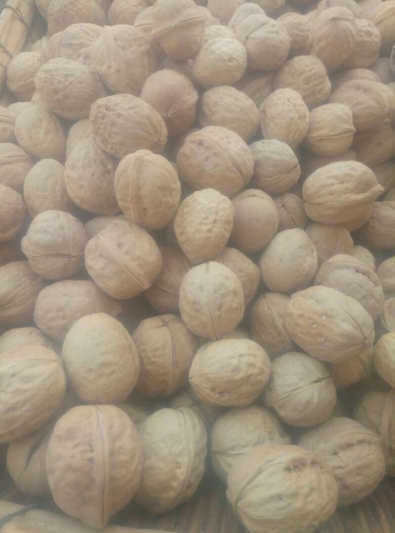 薄皮核桃25~30mm去皮干