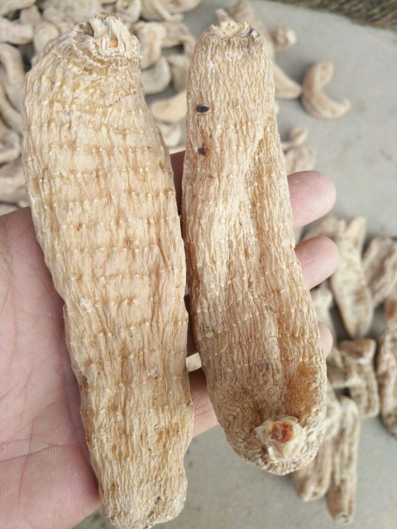 天麻一级自然晒干新货纯野生天麻