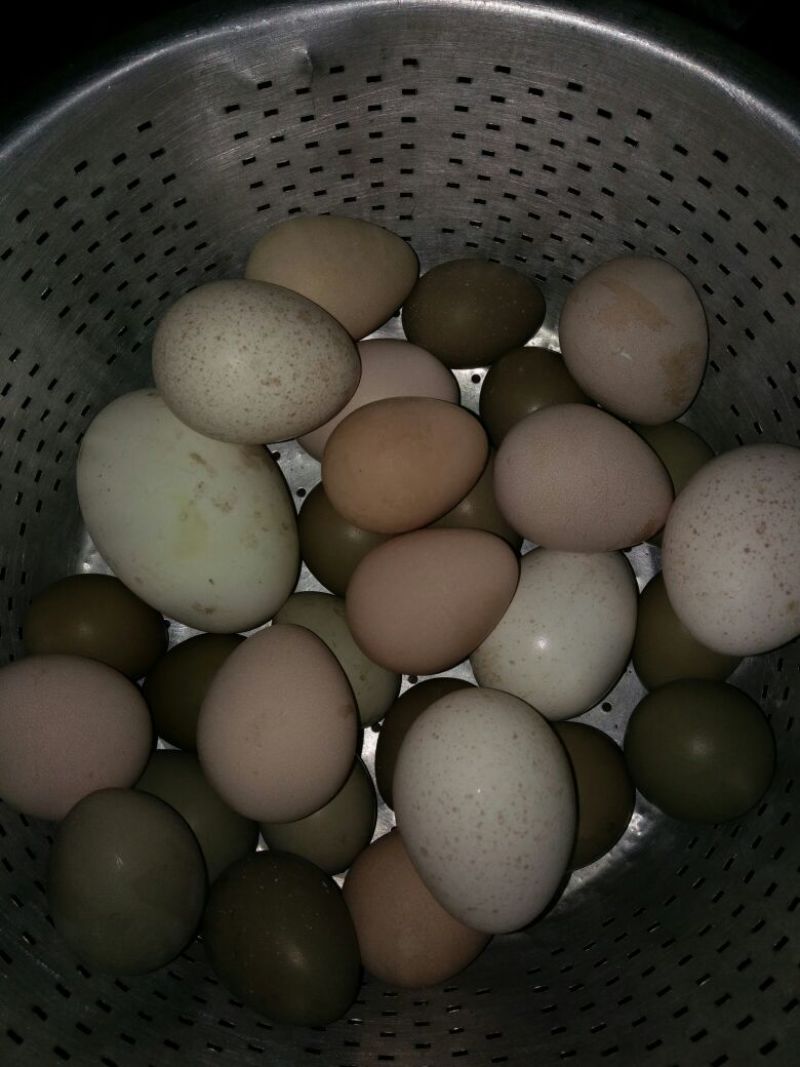 池鲤鱼食用1~2公斤