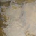 池鲤鱼食用1~2公斤