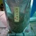 珍珠菊花茶一级