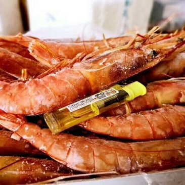 阿根廷红虾L1
