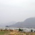沙糖桔3.5~4.5cm一级