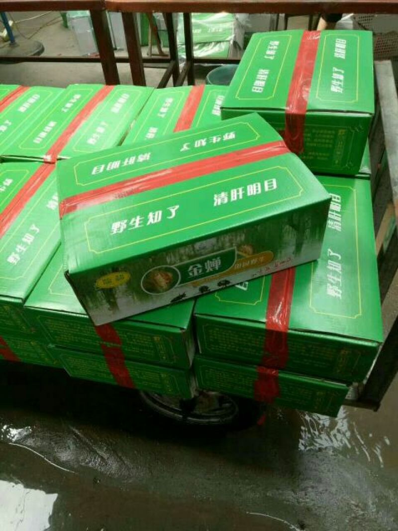 金蝉食用，，，，，，，，
