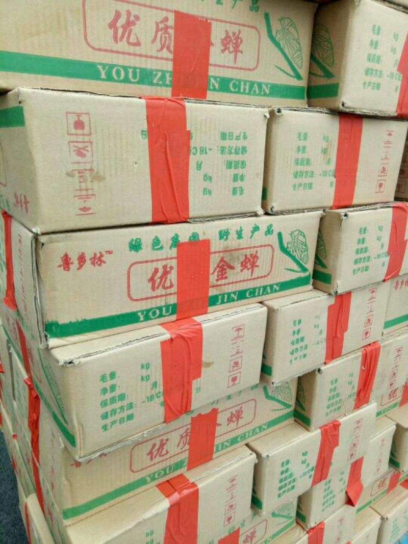 金蝉食用，，，，，，，，