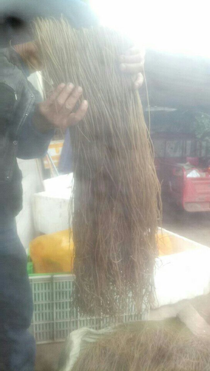 红薯粉条中粉