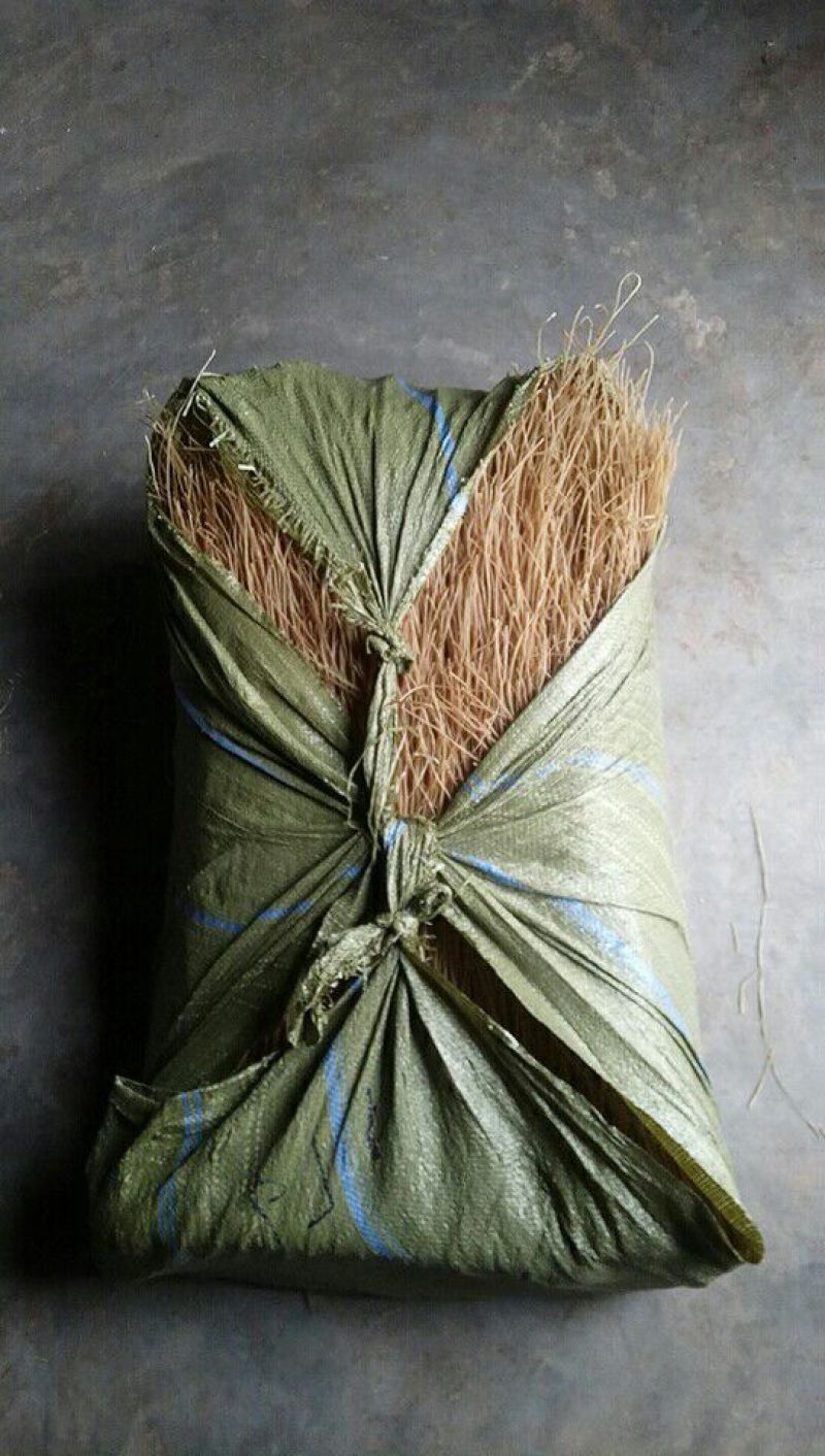 红薯粉条中粉