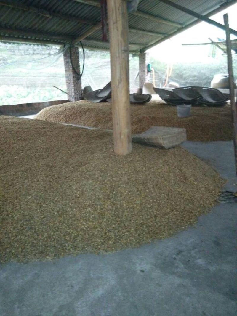 《畅销》包谷酒优质水源上等粮食，古老工业酿制纯酿食白酒